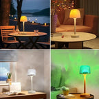 Cordless Touch Table Lamp, Dimmable Warm LED with Metal Finish