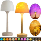 Cordless Touch Table Lamp, Dimmable Warm LED with Metal Finish
