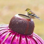 Metal Flower Bird Feeder Station, 78cm Garden Feeder