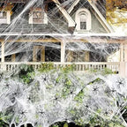 Stretch Spider Web Halloween Set, 18 sq m with 9 Spiders