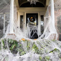 Stretch Spider Web Halloween Set, 18 sq m with 9 Spiders