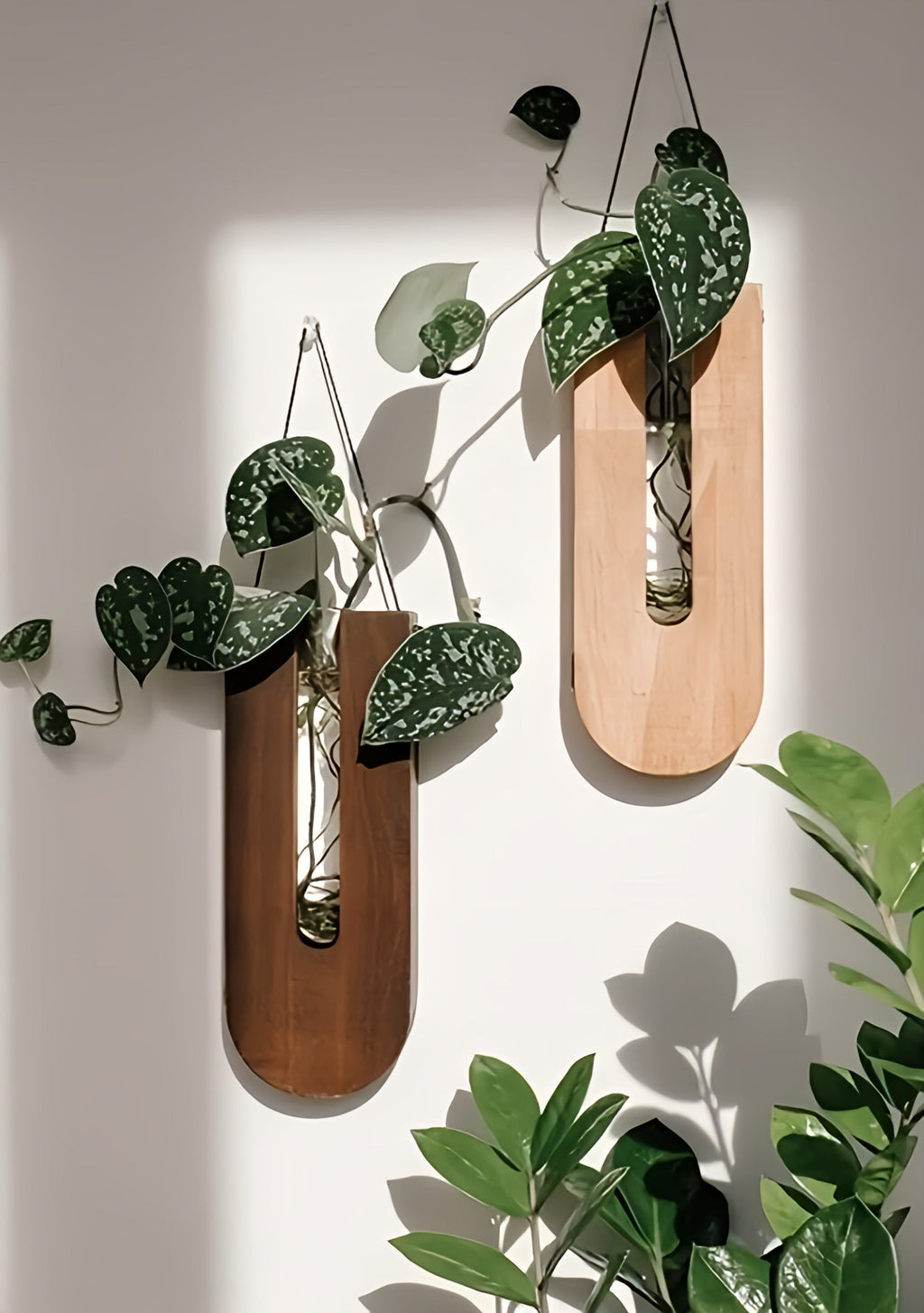 Pine Wood Wall Plant Holders, Set of 7, Vertical Display