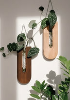 Pine Wood Wall Plant Holders, Set of 7, Vertical Display