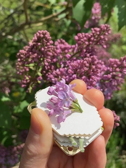 Mini Flower Press with 10 Reusable Blotting Sheets
