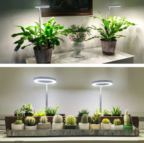 Adjustable LED Grow Light, Full Spectrum, Gooseneck 20-65cm