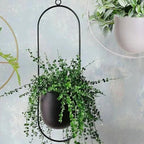 Wall Mounted Hanging Planter in Black or Gold Metal Hoop