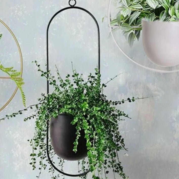 Wall Mounted Hanging Planter in Black or Gold Metal Hoop