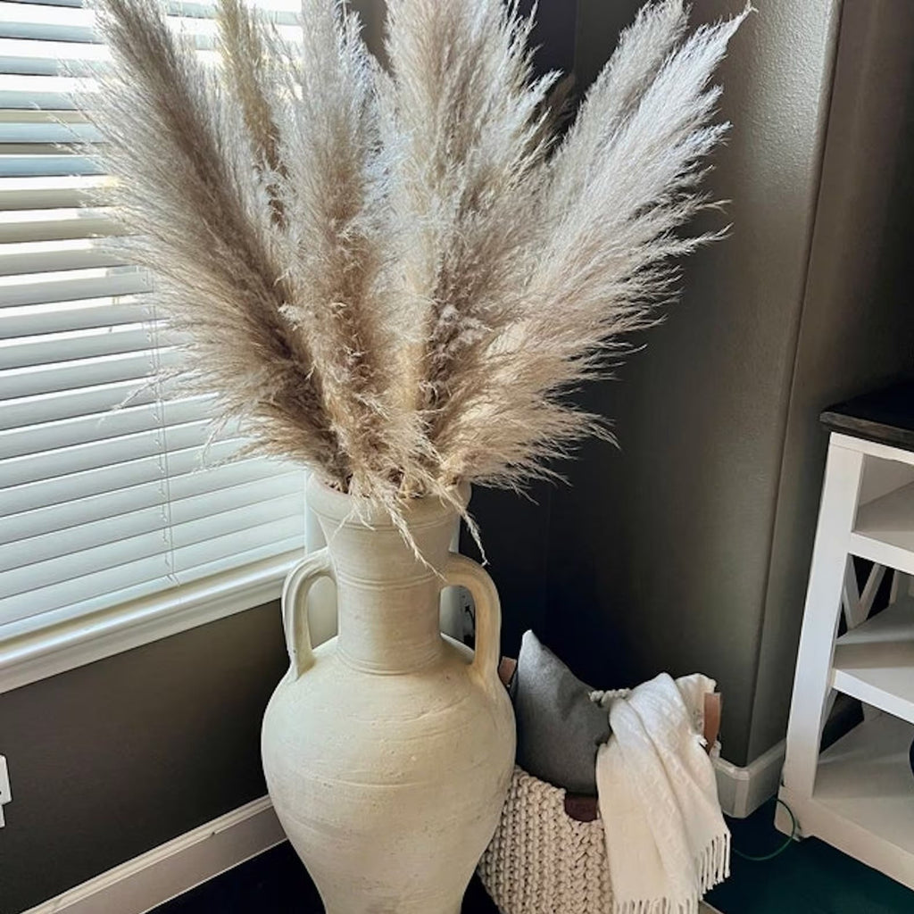 Dried Pampas Grass Plumes, Set of 10 Natural Decorative Stems
