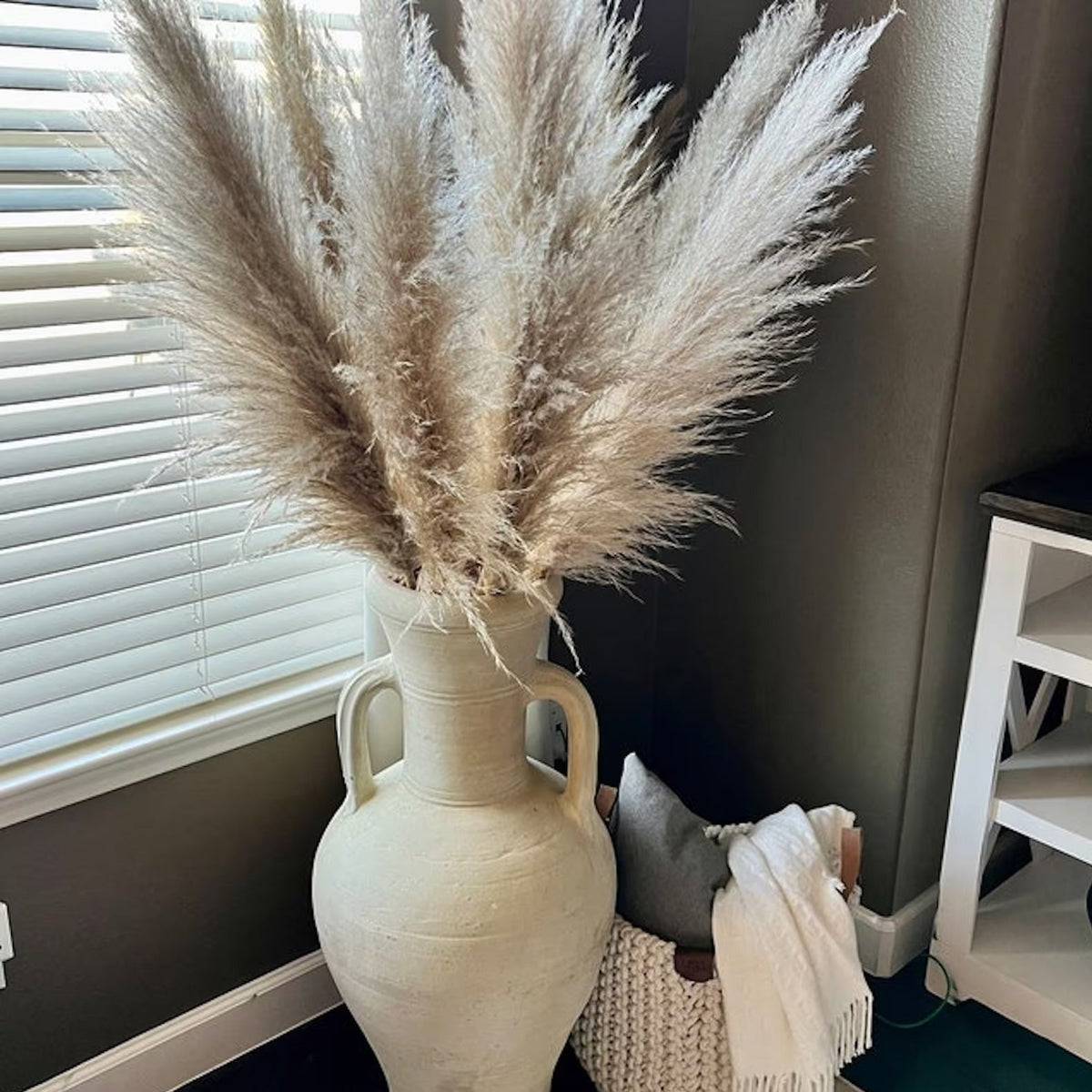 Dried Pampas Grass Plumes, Set of 10 Natural Decorative Stems
