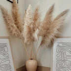 Dried Pampas Grass Plumes, Set of 10 Natural Decorative Stems