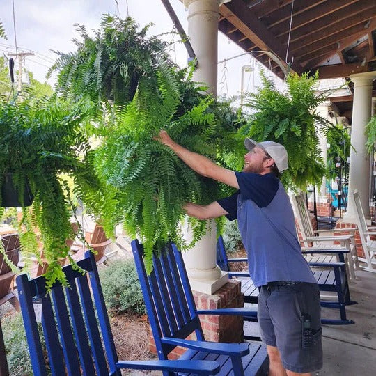 Artificial Fern for Outdoors, 18 Branches, UV Protected