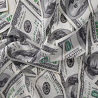 Dollar Bill Print Duvet Cover Set with Zip Closure