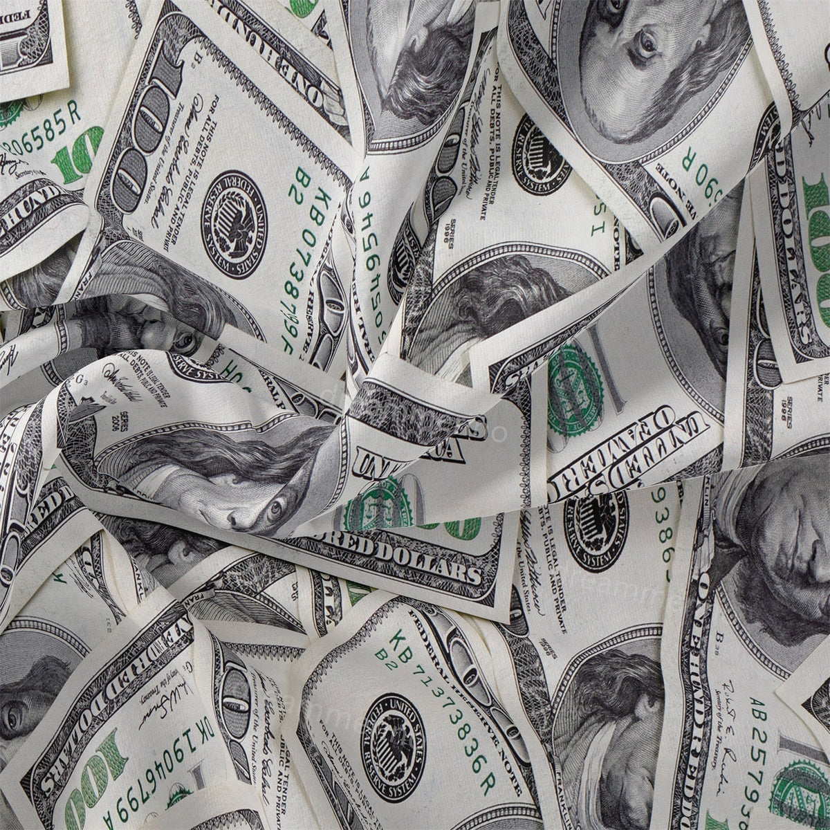 Dollar Bill Print Duvet Cover Set with Zip Closure