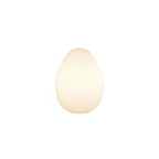 Egg-Shaped Floor Lamp with Dimmable Integrated LED