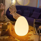 Egg-Shaped Floor Lamp with Dimmable Integrated LED