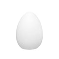 Egg-Shaped Floor Lamp with Dimmable Integrated LED