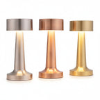 Cordless USB-C Table Lamp with 3 Brightness Levels