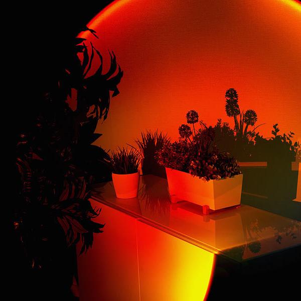 Sunset Projector Table Lamp with 360-Degree Rotating Head