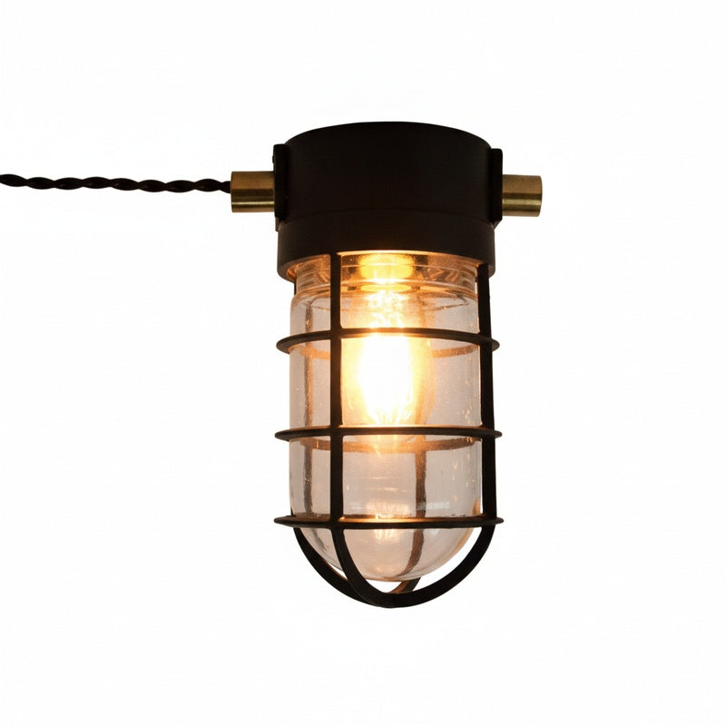 Industrial Cage Ceiling Light with Clear Glass, IP43