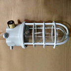 Industrial Cage Ceiling Light with Clear Glass, IP43