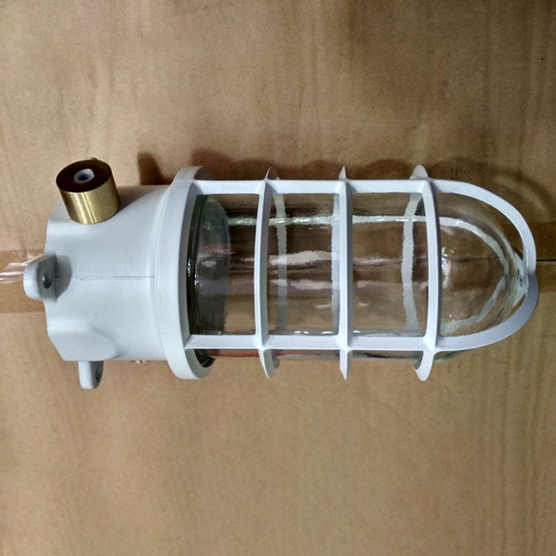 Industrial Cage Ceiling Light with Clear Glass, IP43