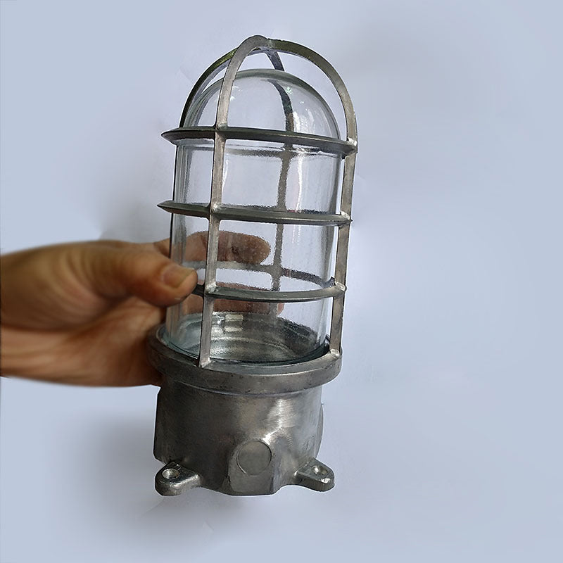 Industrial Cage Ceiling Light with Clear Glass, IP43