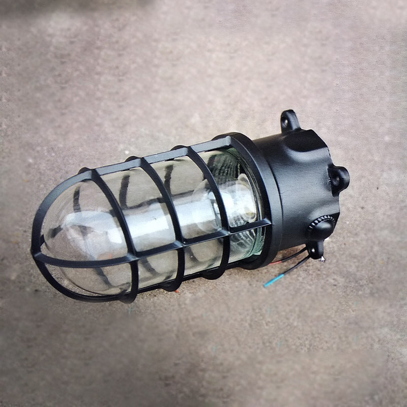 Industrial Cage Ceiling Light with Clear Glass, IP43