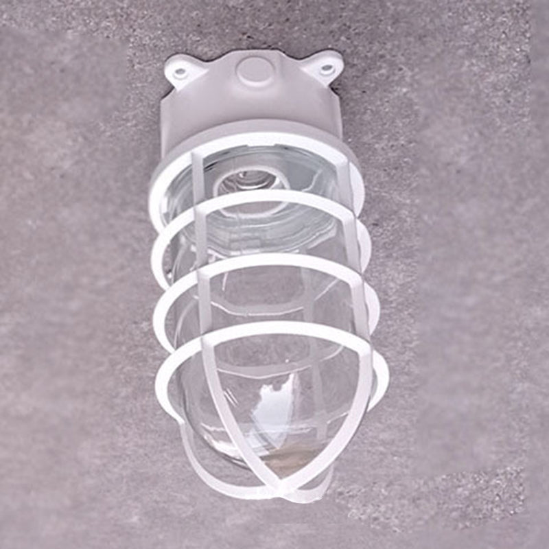 Industrial Cage Ceiling Light with Clear Glass, IP43