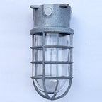 Industrial Cage Ceiling Light with Clear Glass, IP43