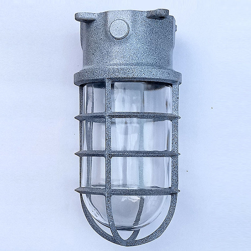 Industrial Cage Ceiling Light with Clear Glass, IP43