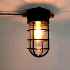 Industrial Cage Ceiling Light with Clear Glass, IP43