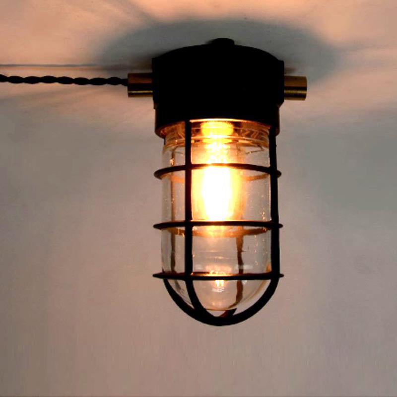 Industrial Cage Ceiling Light with Clear Glass, IP43