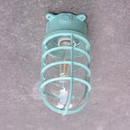 Industrial Cage Ceiling Light with Clear Glass, IP43
