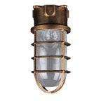 Industrial Cage Ceiling Light with Clear Glass, IP43