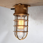 Industrial Cage Ceiling Light with Clear Glass, IP43