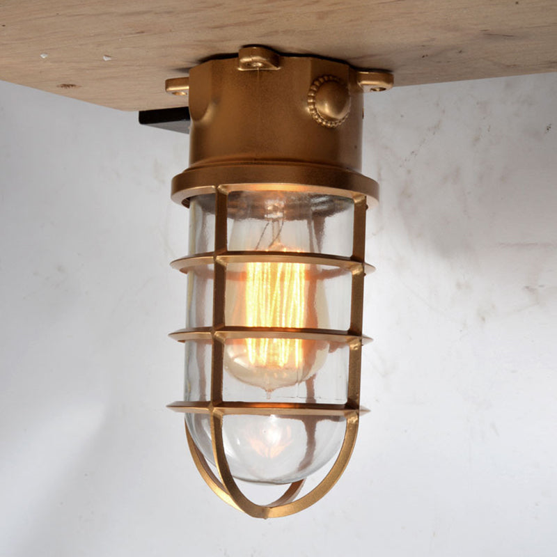 Industrial Cage Ceiling Light with Clear Glass, IP43