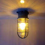 Industrial Cage Ceiling Light with Clear Glass, IP43