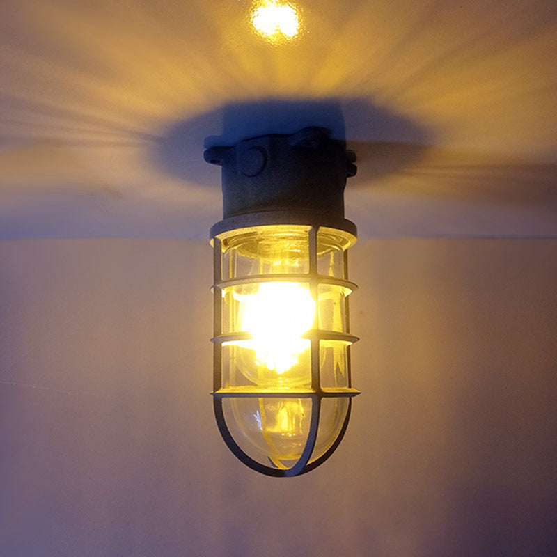 Industrial Cage Ceiling Light with Clear Glass, IP43