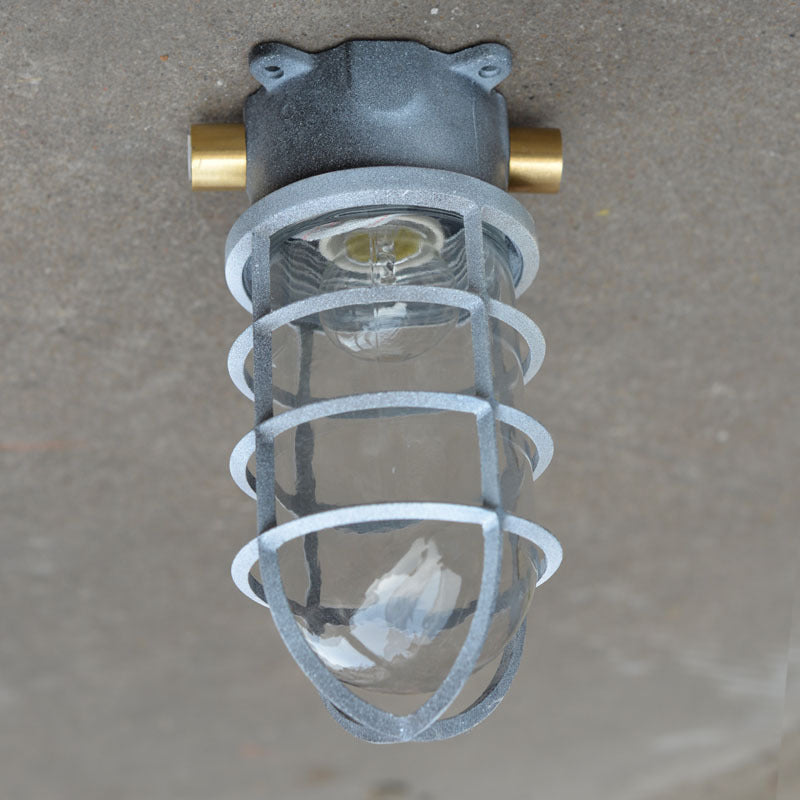 Industrial Cage Ceiling Light with Clear Glass, IP43