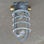 Industrial Cage Ceiling Light with Clear Glass, IP43