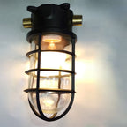 Industrial Cage Ceiling Light with Clear Glass, IP43