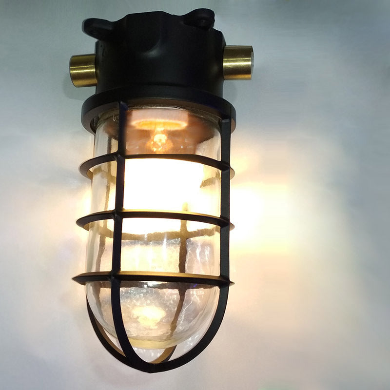 Industrial Cage Ceiling Light with Clear Glass, IP43