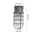 Industrial Cage Ceiling Light with Clear Glass, IP43