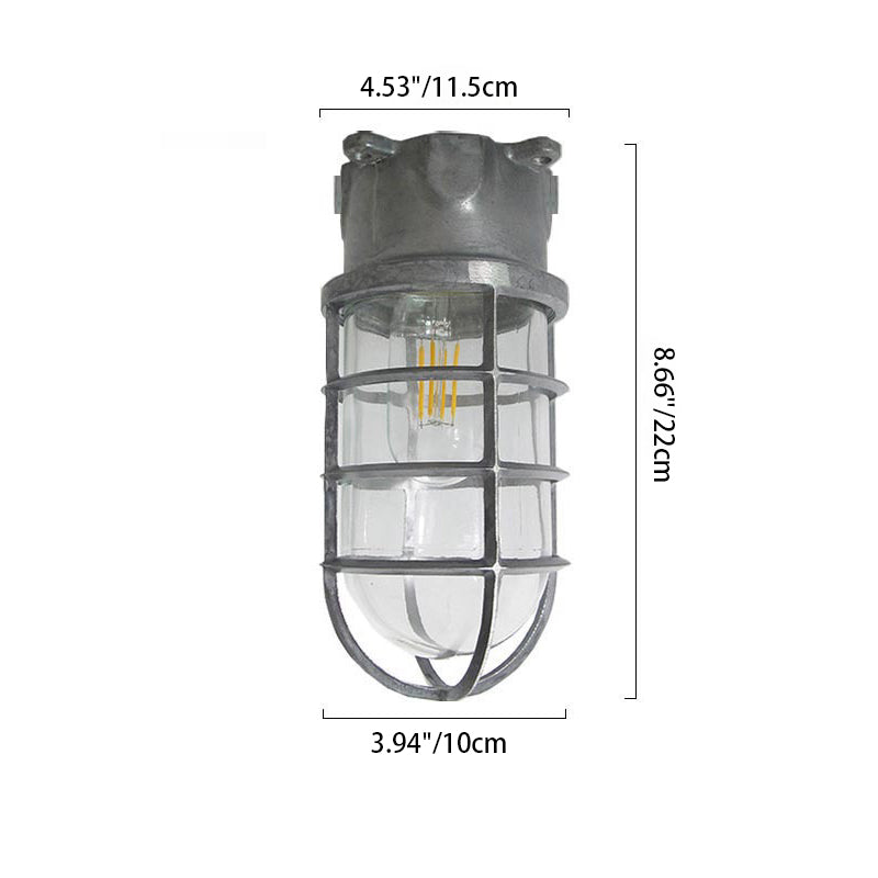 Industrial Cage Ceiling Light with Clear Glass, IP43