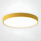 Round LED Flush Ceiling Light with Matt Acrylic Diffuser