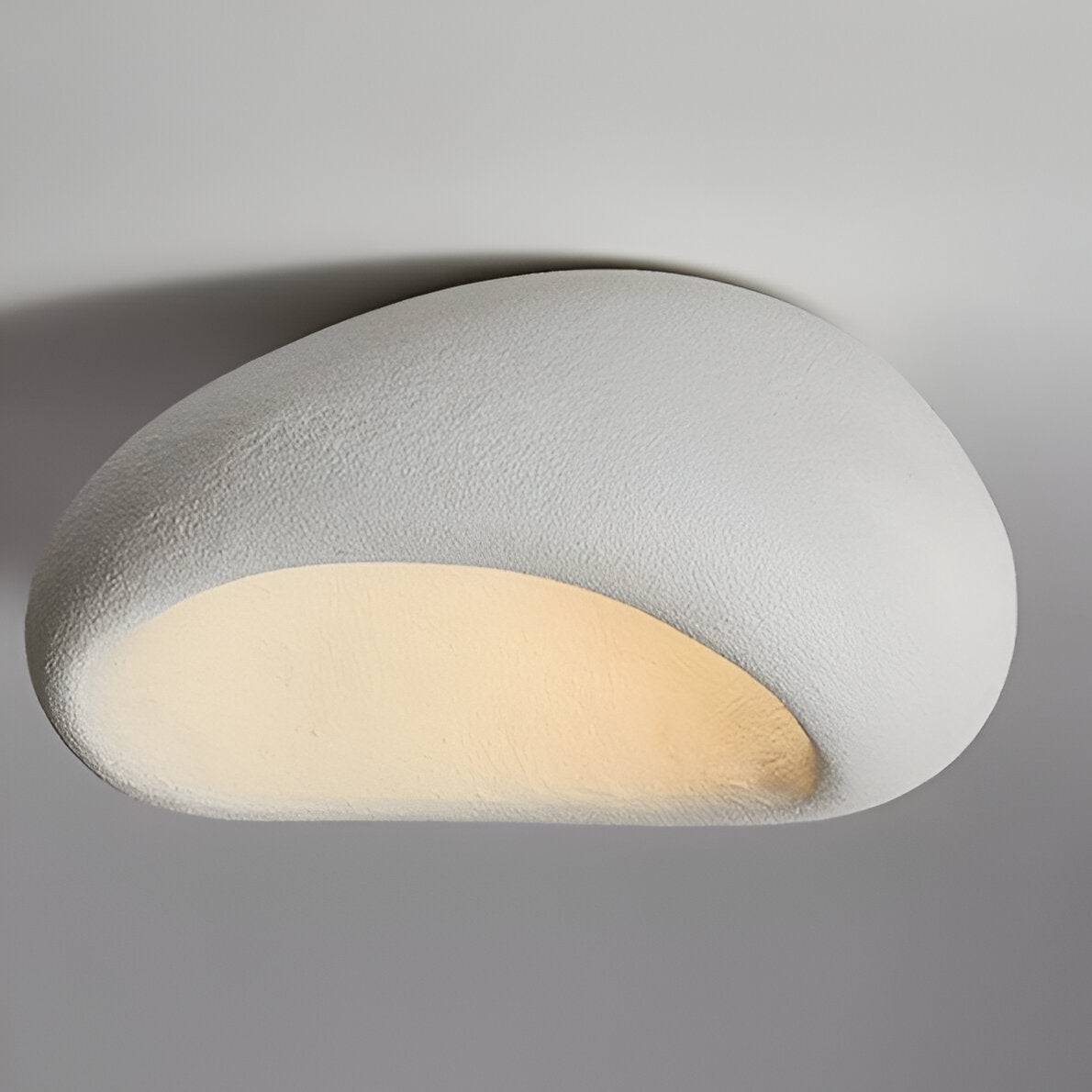 Wabi-Sabi Organic Ceiling Light with Frosted Shade, Touch Control