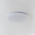 Pebble-Shaped Ceiling Light with Organic Diffuser, Integrated LED