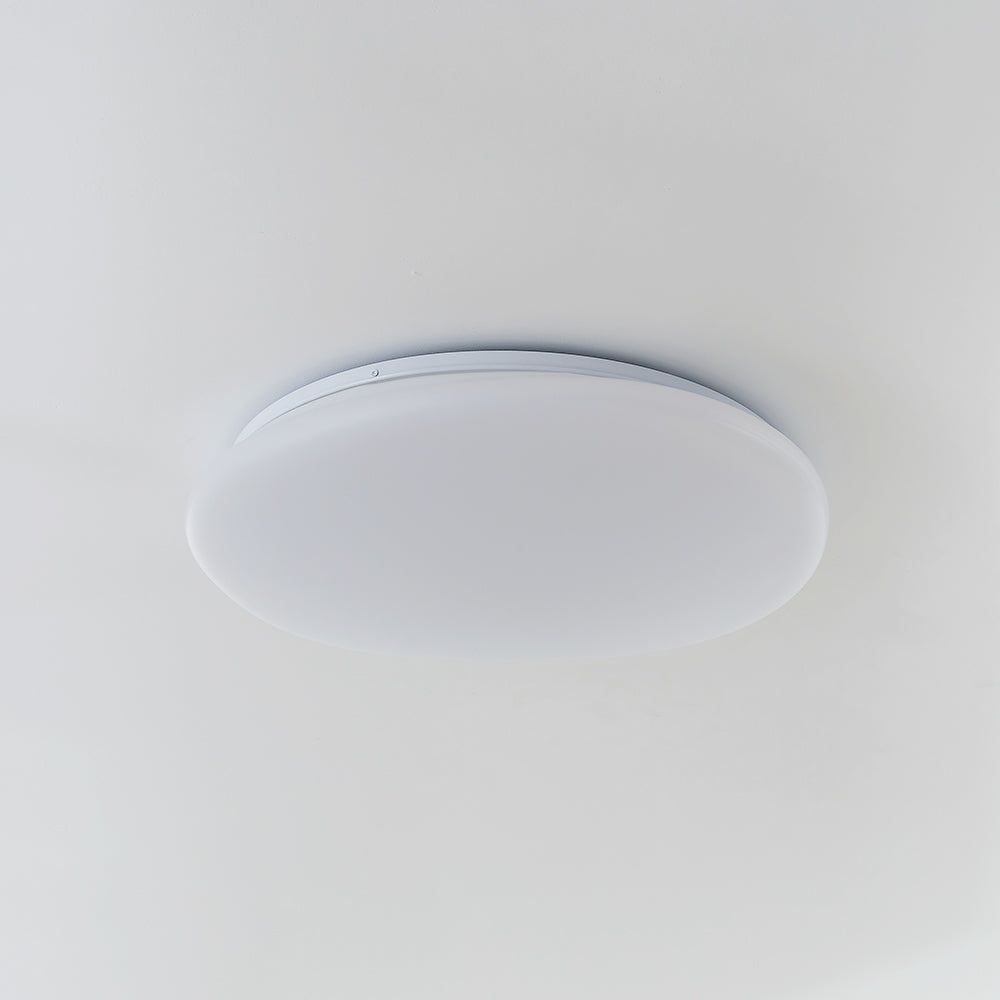 Pebble-Shaped Ceiling Light with Organic Diffuser, Integrated LED