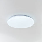 Pebble-Shaped Ceiling Light with Organic Diffuser, Integrated LED