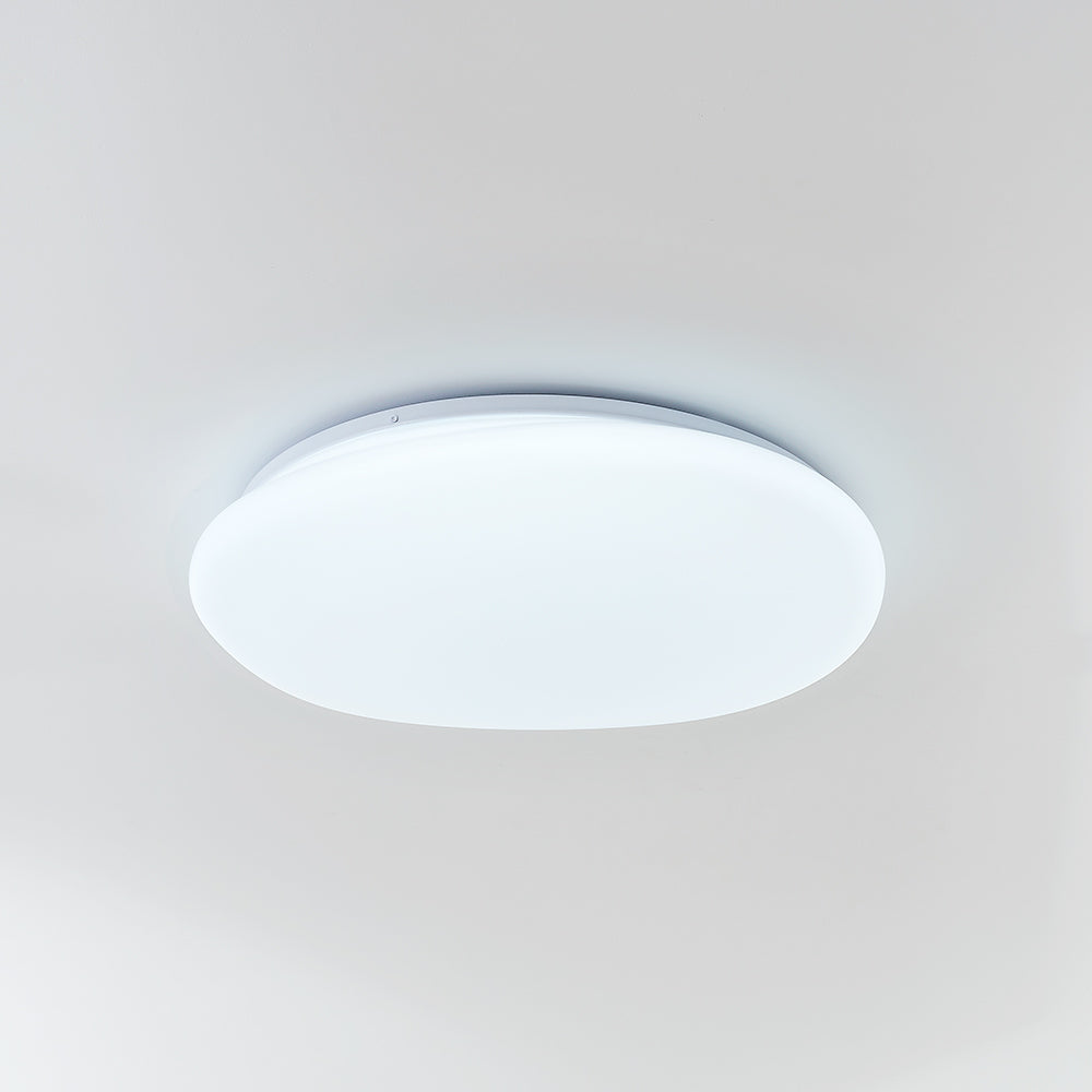 Pebble-Shaped Ceiling Light with Organic Diffuser, Integrated LED